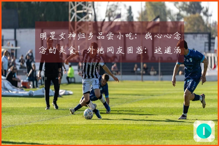 明星女神归乡品尝小吃：我心心念念的美食！外地网友困惑：这道汤是什么？
